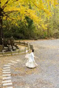 “我言秋日勝春朝”