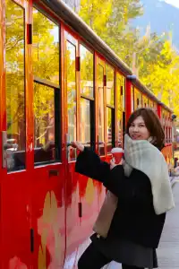 闖入金色童話世界!八都岕銀杏黃了