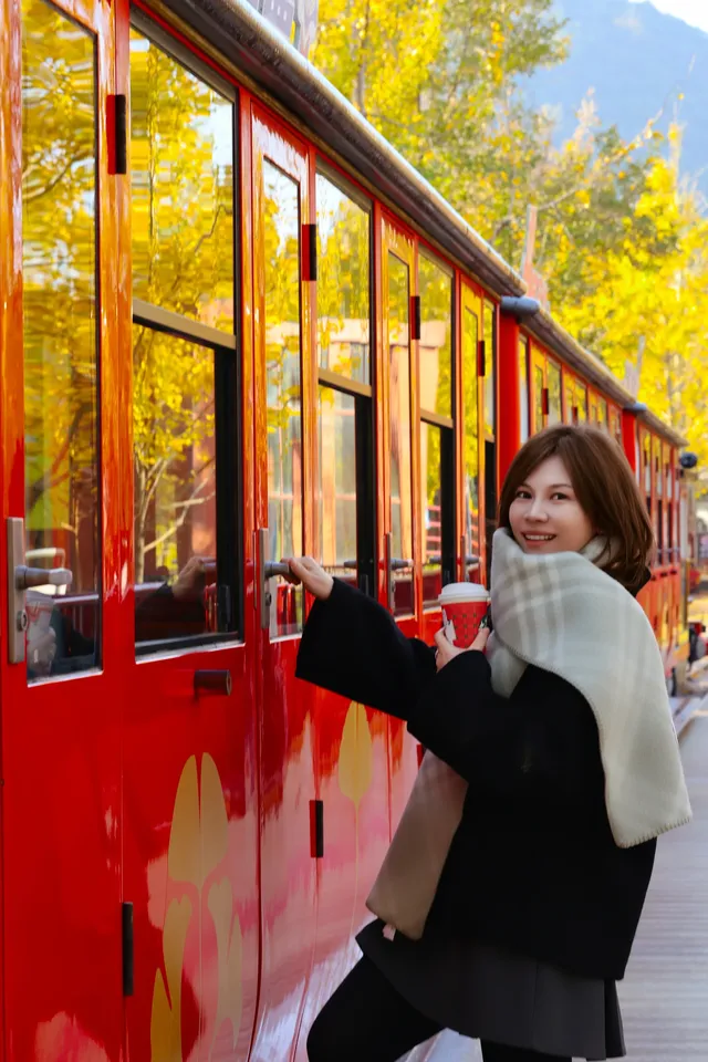 闖入金色童話世界!八都岕銀杏黃了 闖入金色童話世界!八都岕銀杏黃了