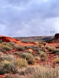 Las Vegas遊記Day2|羚羊谷底天作河