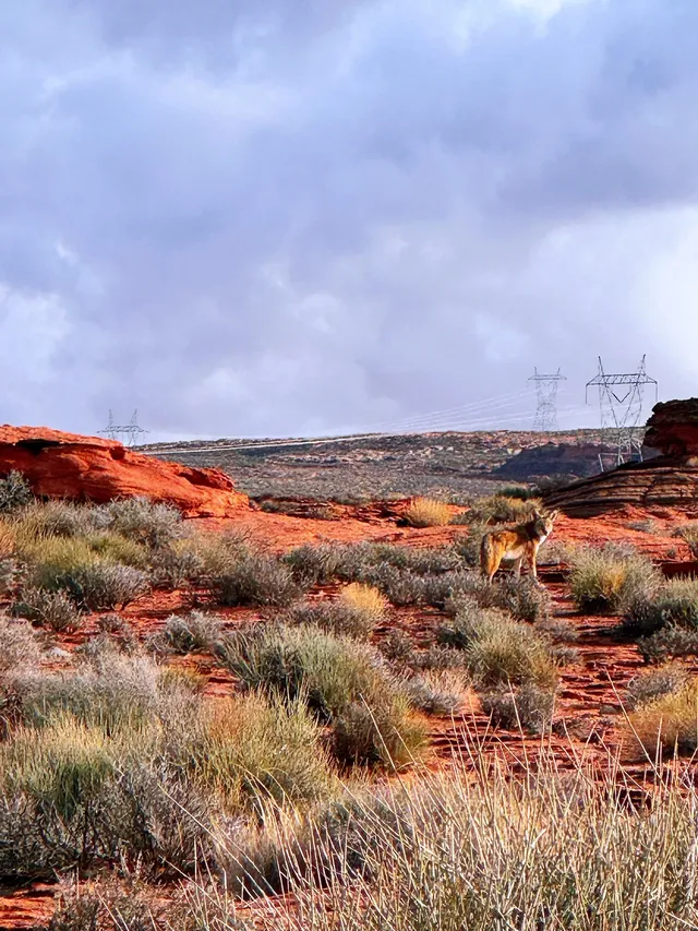 Las Vegas遊記Day2|羚羊谷底天作河 Las Vegas遊記Day2|羚羊谷底天作河