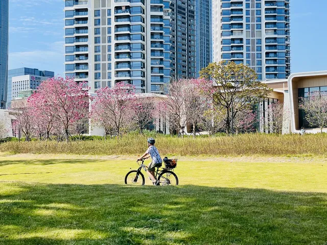 深圳又多一個週末遛娃、海邊徒步的好去處 深圳又多一個週末遛娃、海邊徒步的好去處