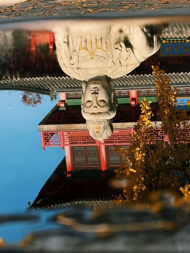 深秋南京,秒變被銀杏包圍的金陵 深秋南京,秒變被銀杏包圍的金陵