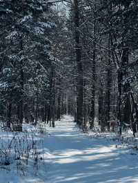 長白山白山市|粉雪天堂冬季必打卡的4大仙境玩法