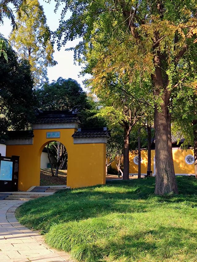 治平寺裡一片金黃