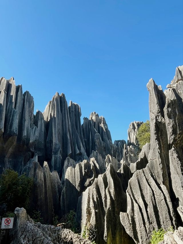 喀斯特秘境暴擊