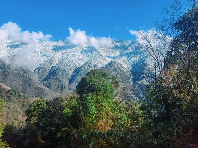 黑竹溝初冬雪景,遠山含雪近林染金 黑竹溝初冬雪景,遠山含雪近林染金