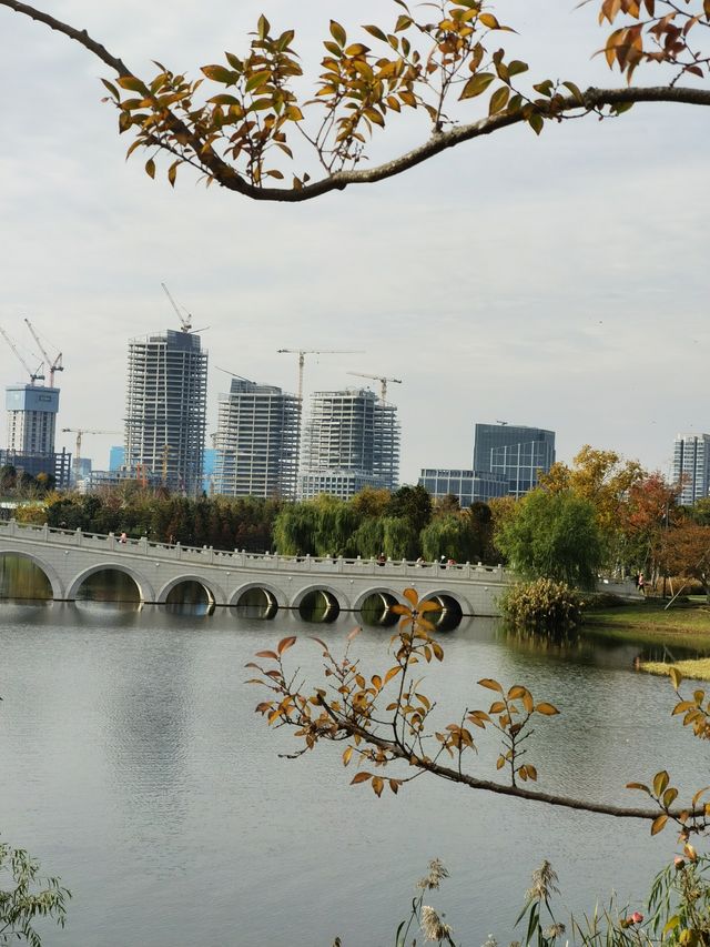 魔都秋色打卡 魔都秋色打卡