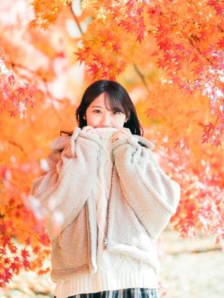 【關西vs關東】雙城賞楓大PK！兩大秘境我全都要