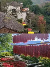 和旅遊搭子的江西三日遊｜玩到不想回家～