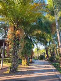 普洱這個小眾秘境，藏著最治癒的冬日暖陽