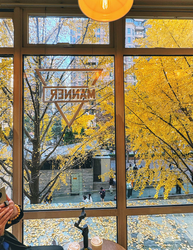 金色暴擊!上海黃金城道銀杏濃度已滿格! 金色暴擊!上海黃金城道銀杏濃度已滿格!