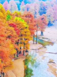 你真的沒騙我,石井水庫真的美到失語