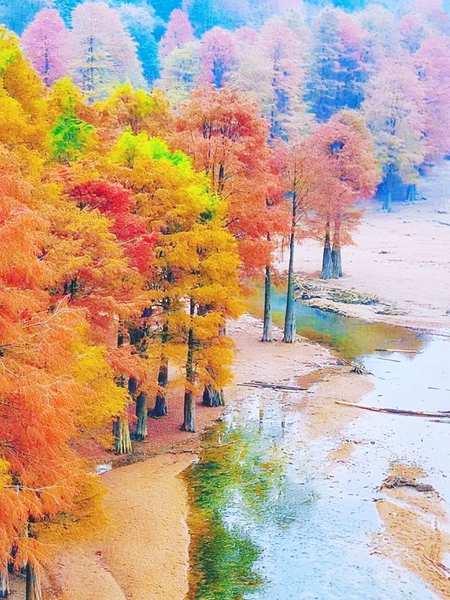 你真的沒騙我,石井水庫真的美到失語 你真的沒騙我,石井水庫真的美到失語