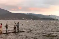 騰衝大理九日遊-洱海海西生態廊道