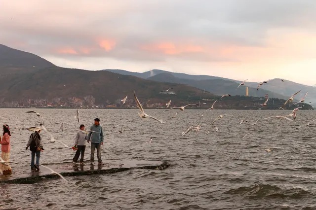 騰衝大理九日遊-洱海海西生態廊道 騰衝大理九日遊-洱海海西生態廊道
