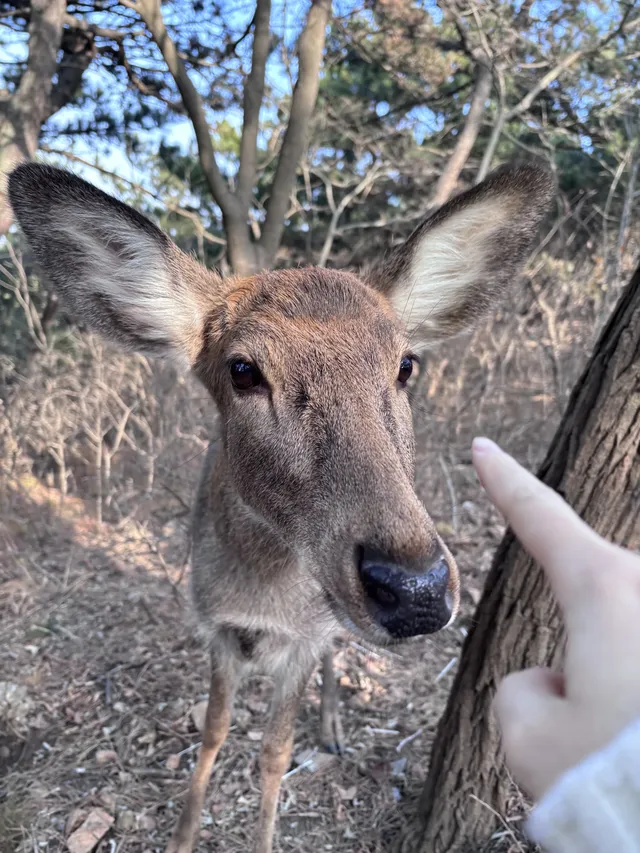 關於大連的初冬記憶 關於大連的初冬記憶