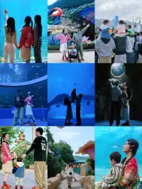 珠海長隆遛了3個2歲娃|酒店房型選擇攻略