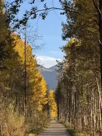 兩次瀘沽湖|寫給想慢下來的人。
