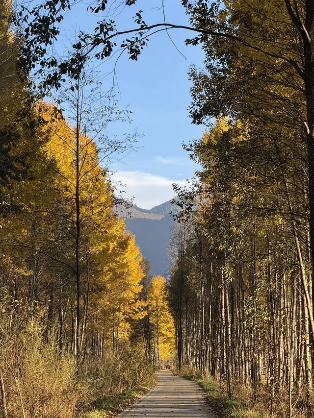 兩次瀘沽湖|寫給想慢下來的人。 兩次瀘沽湖|寫給想慢下來的人。