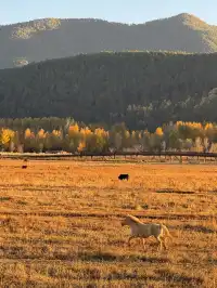 兩次瀘沽湖|寫給想慢下來的人。