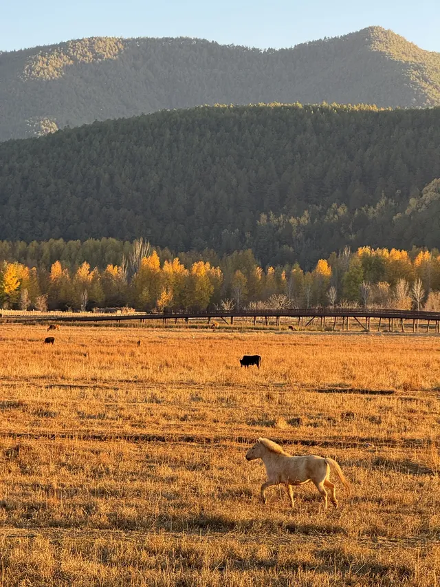 兩次瀘沽湖|寫給想慢下來的人。 兩次瀘沽湖|寫給想慢下來的人。