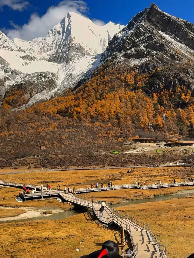 淡季稻城現狀！保姆級攻略（熬夜總結）