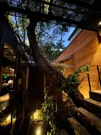 北京冬天 個胡同深處的大隱隱於市 