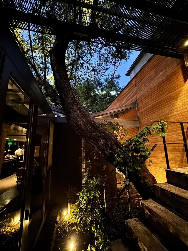 北京冬天 個胡同深處的大隱隱於市 