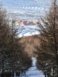 特價88元 樺皮嶺一日徒步踏雪,冬日浪漫