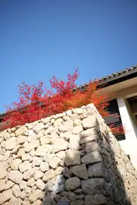 三清山懶人福音！5分鐘到索道，在120㎡房裡