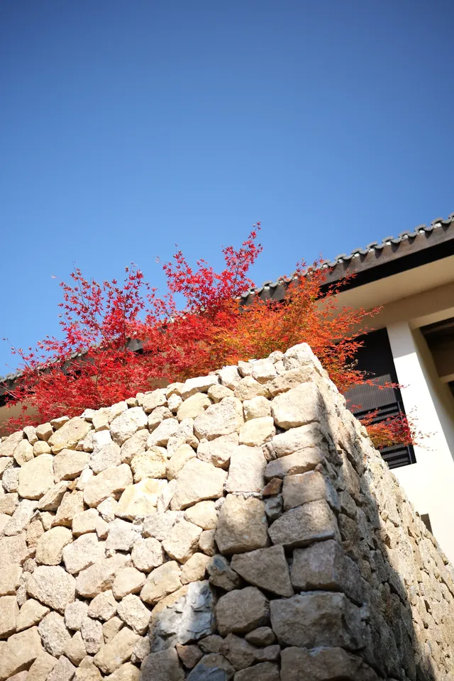 三清山懶人福音！5分鐘到索道，在120㎡房裡