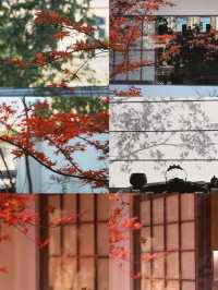 武夷山這家美宿！躺進茶山裡的詩意裡！