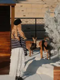 青島新晉拍照地！！聖誕一定要去的𓍯⋆𓏰