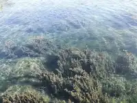 週末遊2h到達|週末逃離城市計劃,去章丘過