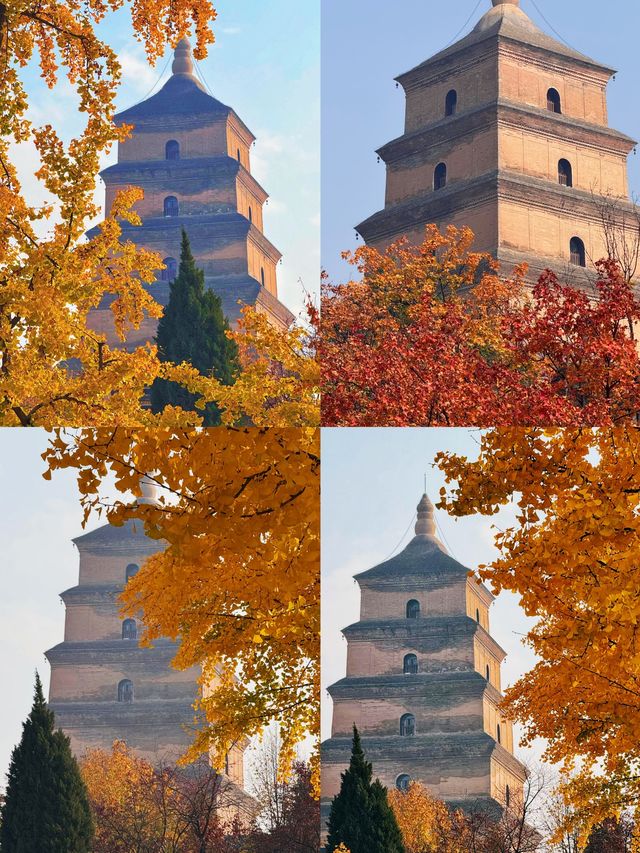 是誰還沒有去過大雁塔高鐵直達 是誰還沒有去過大雁塔高鐵直達