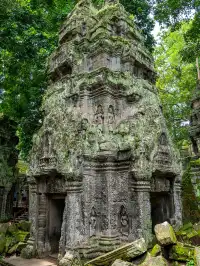 塔布隆寺|古墓奇兵取景地,異星球神樹奇觀