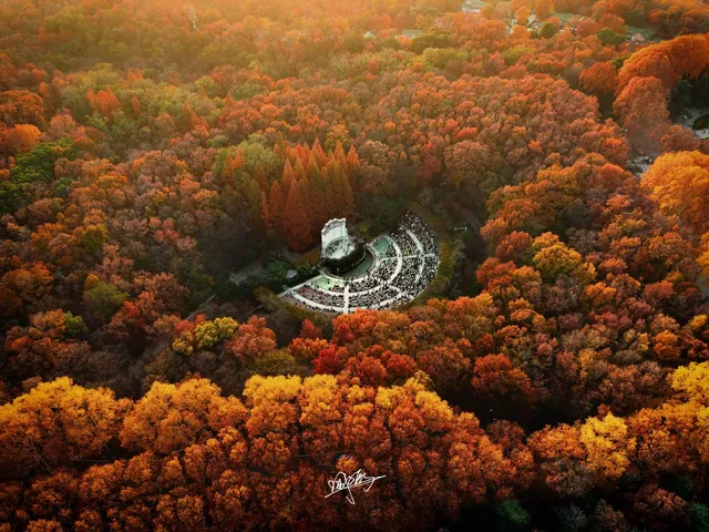 南京秋日航拍 南京秋日航拍