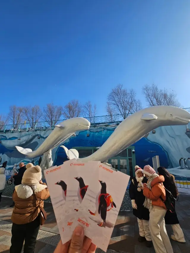 極地公園一日遊嗨翻天！！！
