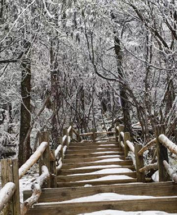 ทัวร์ 9 วัน เที่ยวชมกานหนานและพื้นที่อื่นๆ | คู่มือฉบับสมบูรณ์ - บันทึกหน้านี้ไว้เลย!