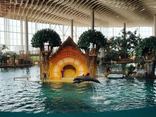 SeaWorld Abu Dhabi