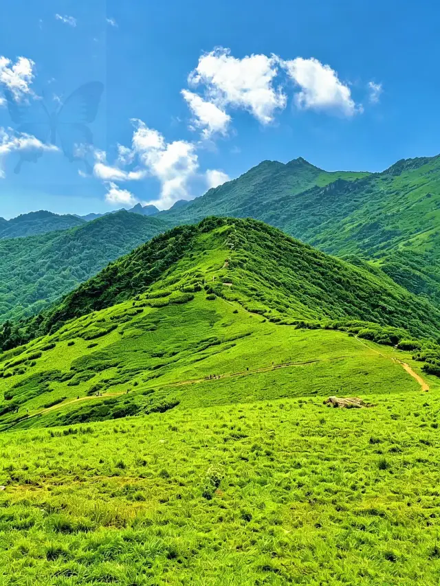1h Direct from Xi'an! Qinchu Ancient Trail Easy Hiking Guide with Azaleas