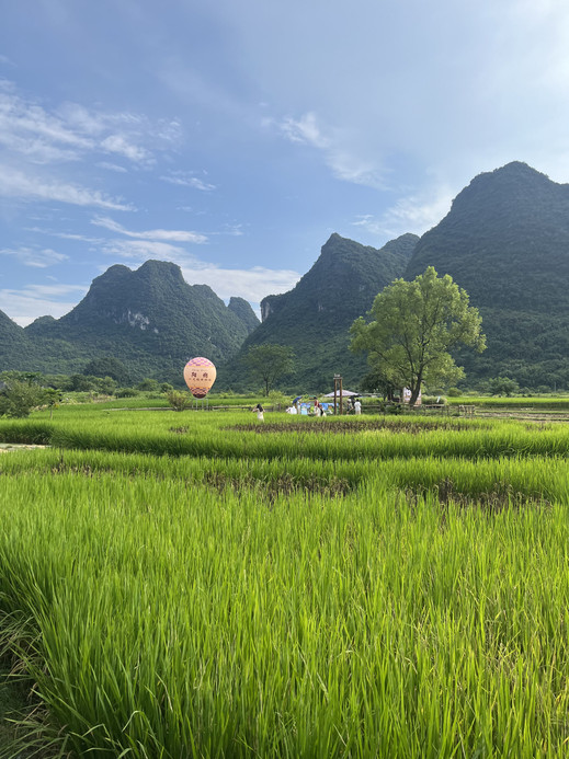 遇龙河金龙桥-旧县人工竹筏 参考图 1