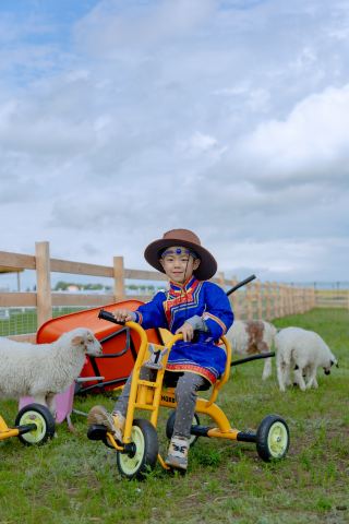 후룬베이얼 7일, 초원 숲 순록을 한 번에 즐기기