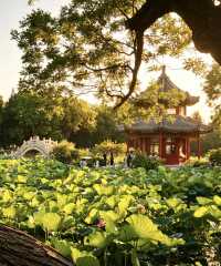 保定古蓮花池，一座城市中的「小江南」。走進蓮池，如同走進了江南的煙雨中。亭台樓閣、小橋流水，讓人彷彿