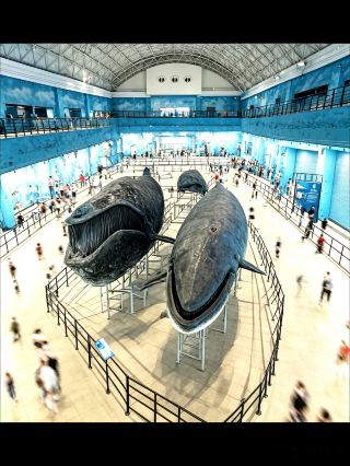 Traveling in Dalian, I was blown away by the Natural History Museum!!!