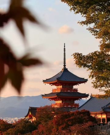 Japan autumn foliage map: A guide to chasing fall colors from September to December