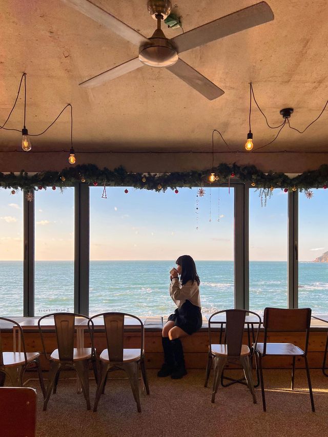 바로 앞 오션뷰가 펼쳐진 태안 해피준 카페🌊