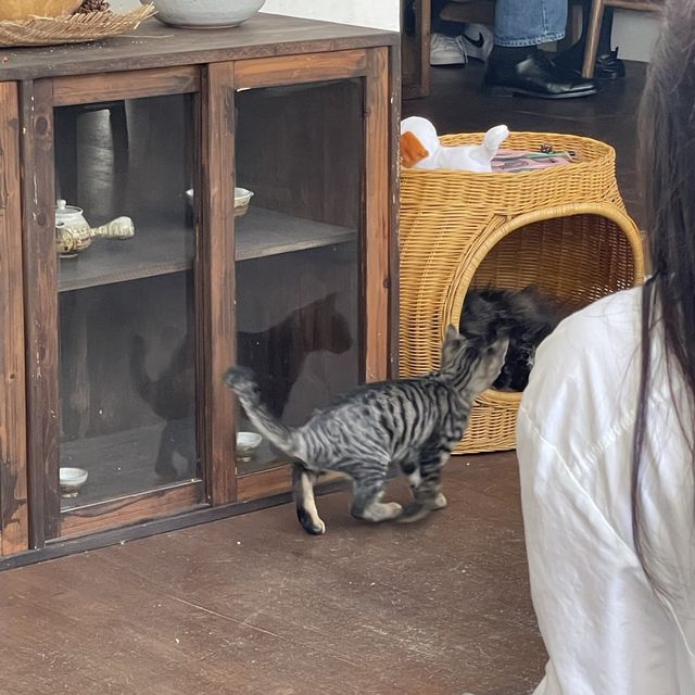 보늬밤과 색다른 디져트 맛집 대구카페 연화