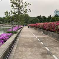ไปออกกำลังกันที่สวนเบญจกิติ เดินทางสะดวกด้วย MRT